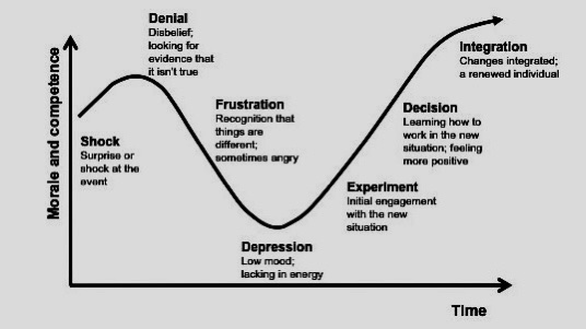 Fishers Business Change Curve Bellblomquist Consulting